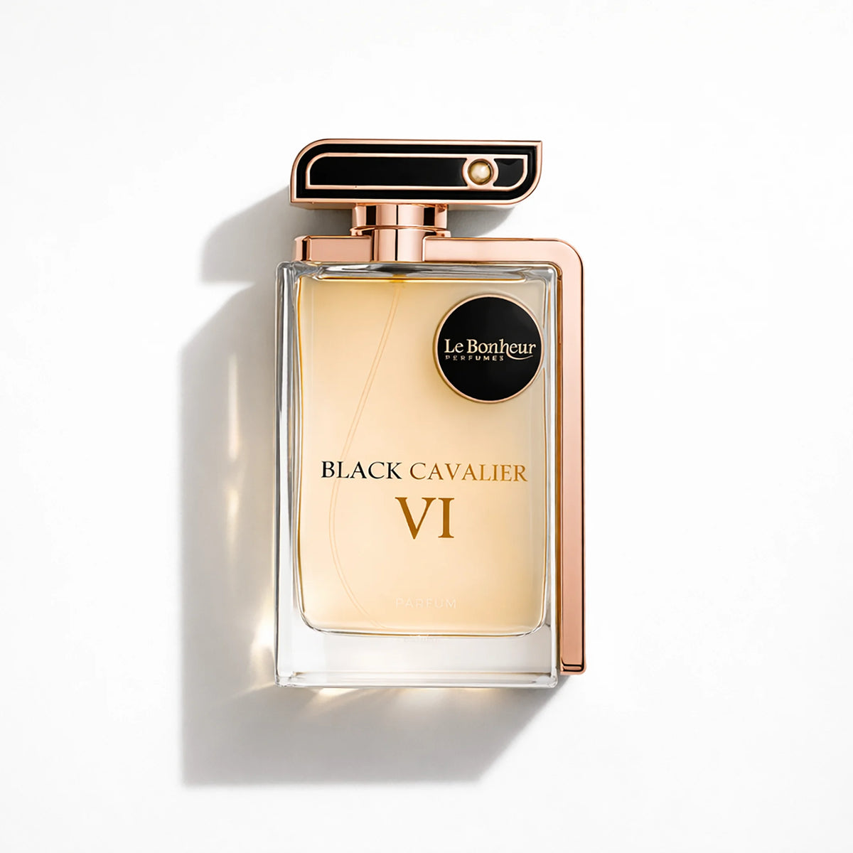 Black Cavalier VI